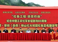 第二届中国（岳西）映山红红色旅游文化节举行