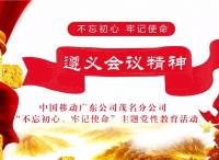 中国移动广东公司茂名分公司组织开展 “不忘初心、牢记使命”主题党性教育活动