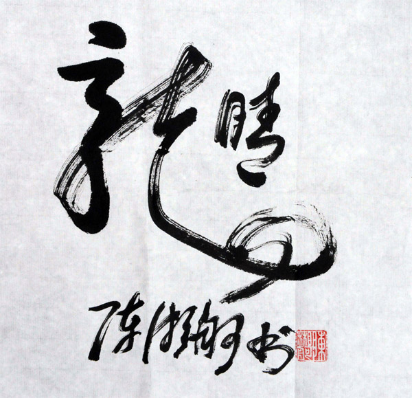 陈湘舸教授的“画书”字作品之一：“画龙点睛。”